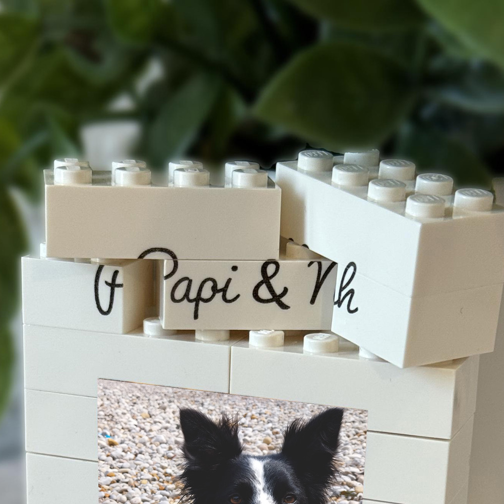 1PC Custom Pet Building Blocks - Building Blocks review and price